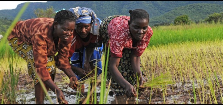 Reducing Poverty by Enhancing Climate Resilience